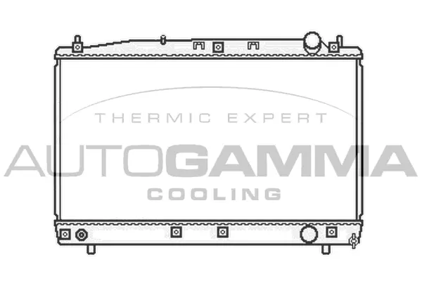 Radiator, engine cooling (103858)