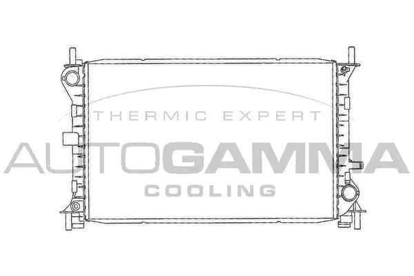 Radiator, engine cooling (102073)