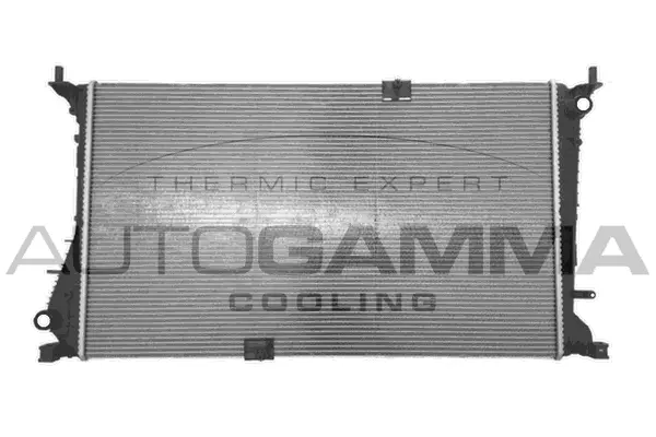 Radiator, engine cooling (105579)