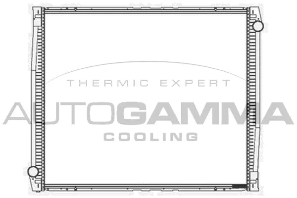 Radiator, engine cooling (405022)