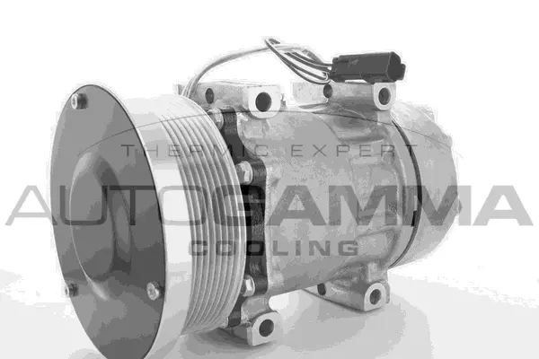 Compressor, air conditioning (118471)