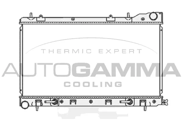 Radiator, engine cooling (104706)