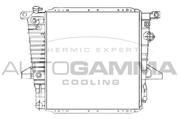 Radiator, engine cooling (103160)