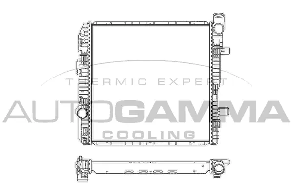 Radiator, engine cooling (401046)
