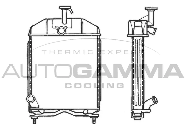 Radiator, engine cooling (400102)