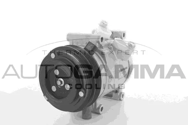 Compressor, air conditioning (118406)