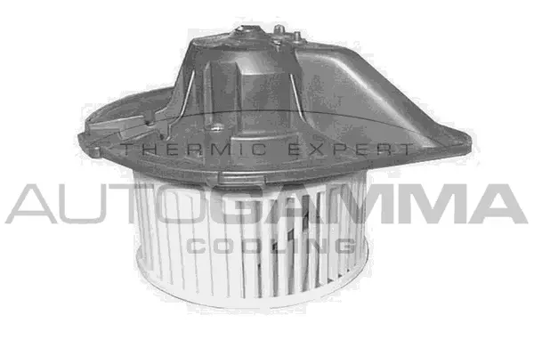 Interior Blower (GA20550)