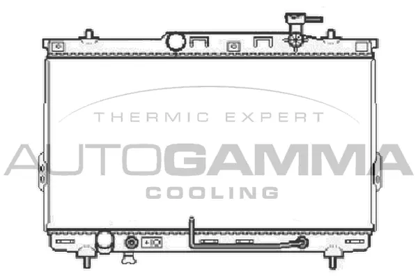 Radiator, engine cooling (104070)