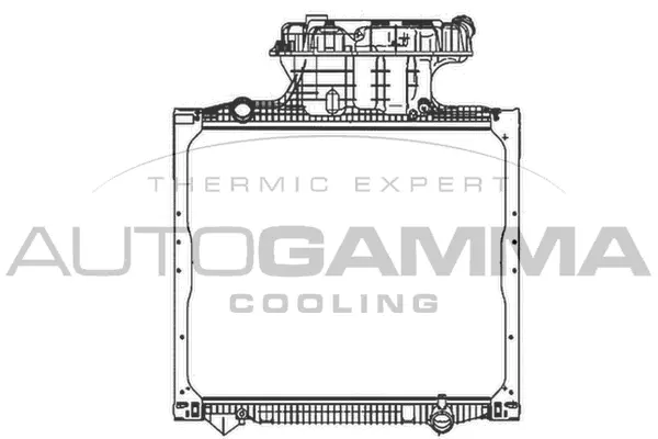 Radiator, engine cooling (404940)