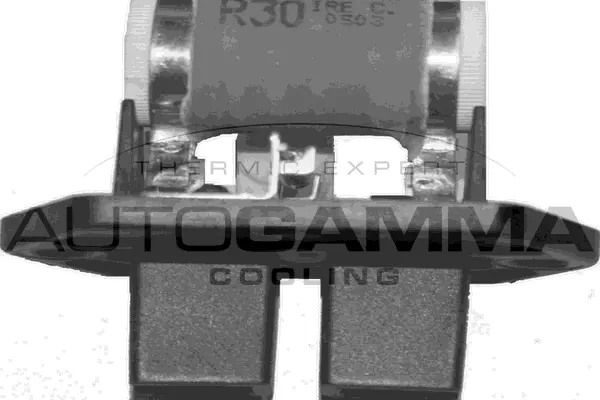 Series resistor, electric motor (radiator fan) (GA15506)