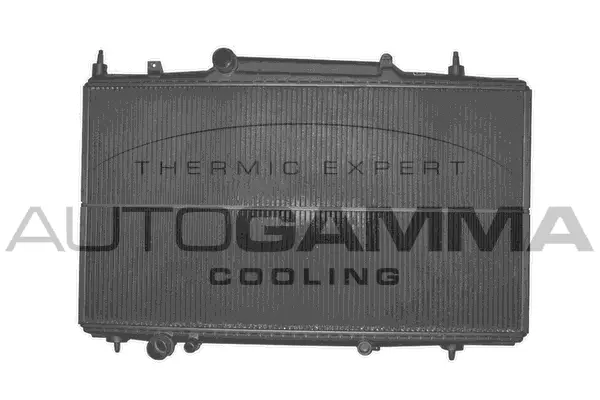 Radiator, engine cooling (102276)