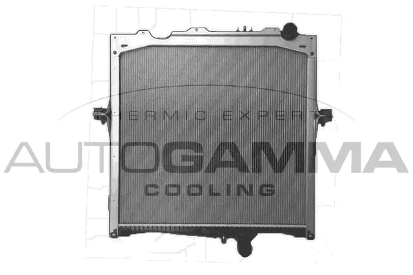 Radiator, engine cooling (405512)
