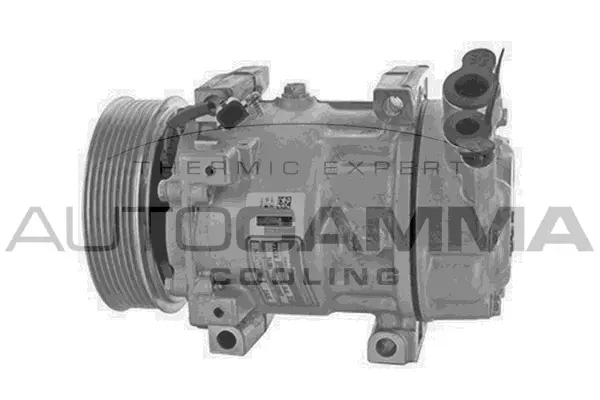 Compressor, air conditioning (118627)