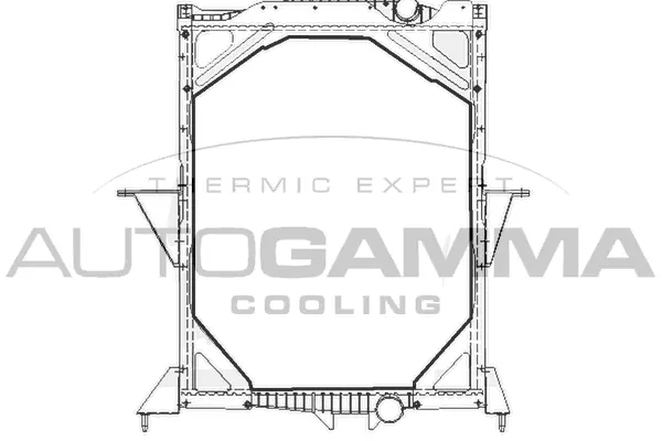 Radiator, engine cooling (404706)