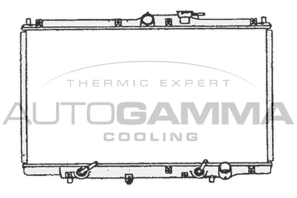 Radiator, engine cooling (102121)