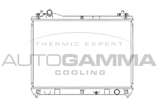 Radiator, engine cooling (105111)