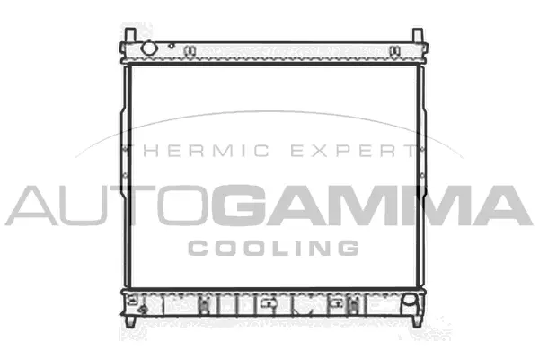 Radiator, engine cooling (107952)
