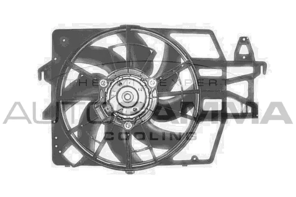 Fan, engine cooling (GA201702)