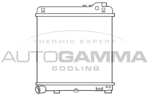 Radiator, engine cooling (100094)