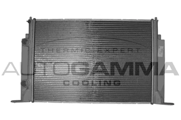 Radiator, engine cooling (103055)