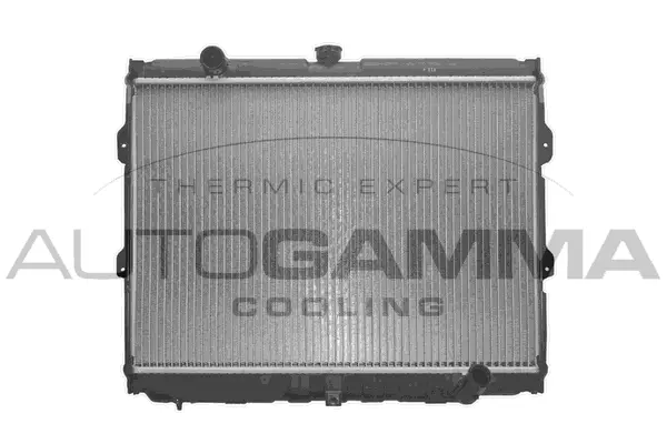 Radiator, engine cooling (103691)