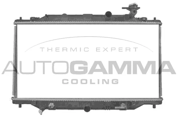 Radiator, engine cooling (107725)