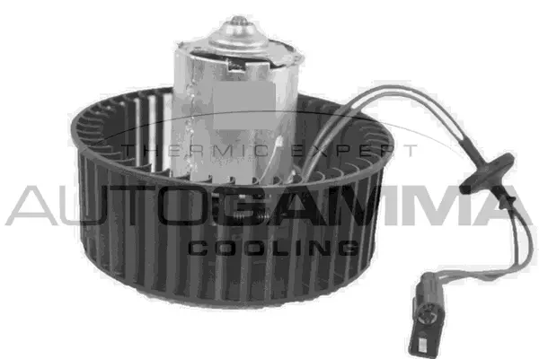 Interior Blower (GA34004)
