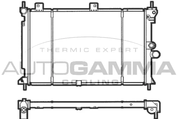 Radiator, engine cooling (100669)