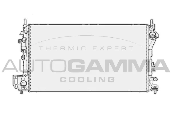 Radiator, engine cooling (104184)