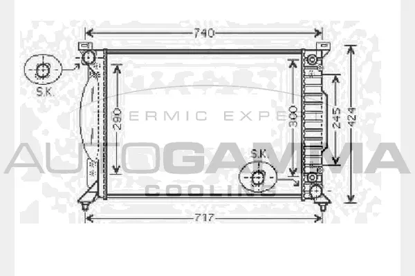 Radiator, engine cooling (104500)