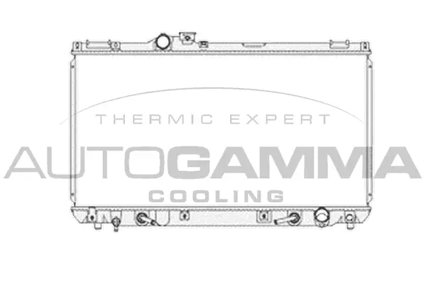 Radiator, engine cooling (104671)