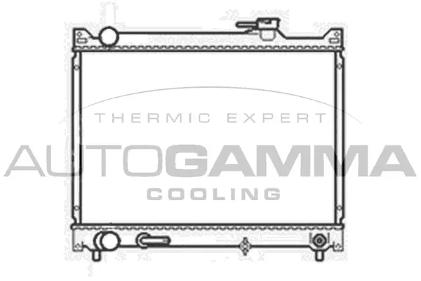 Radiator, engine cooling (104161)