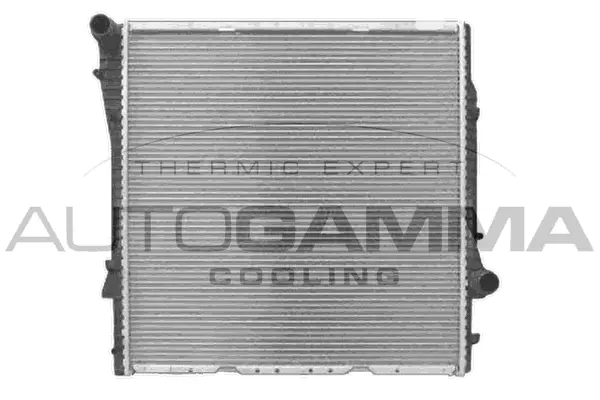 Radiator, engine cooling (103397)