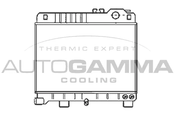 Radiator, engine cooling (100086)