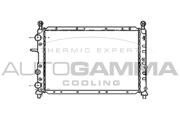 Radiator, engine cooling (100016)