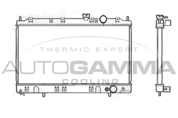 Radiator, engine cooling (103494)