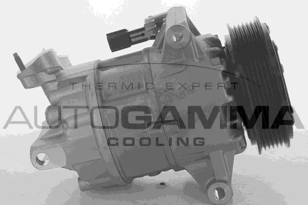 Compressor, air conditioning (108531)