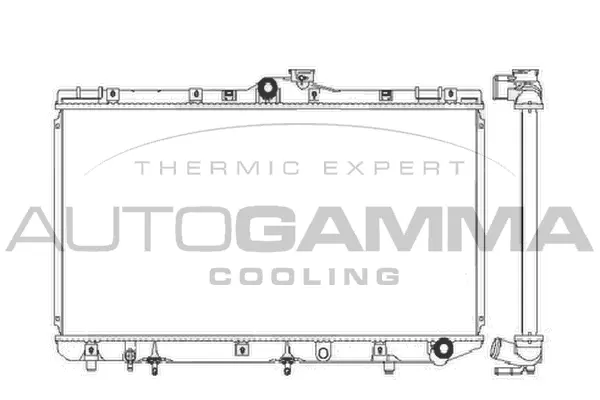 Radiator, engine cooling (101274)