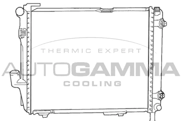Radiator, engine cooling (100544)