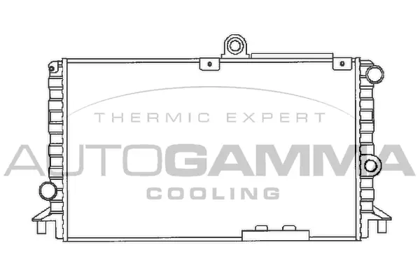 Radiator, engine cooling (100004)