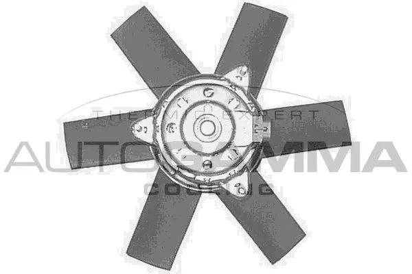 Fan, engine cooling (GA200613)
