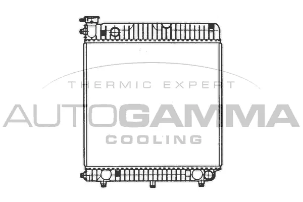 Radiator, engine cooling (402008)