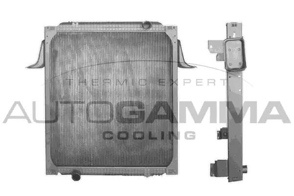 Radiator, engine cooling (404548)
