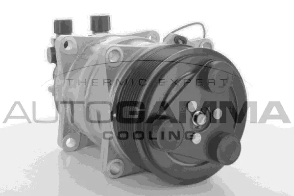 Compressor, air conditioning (109238)