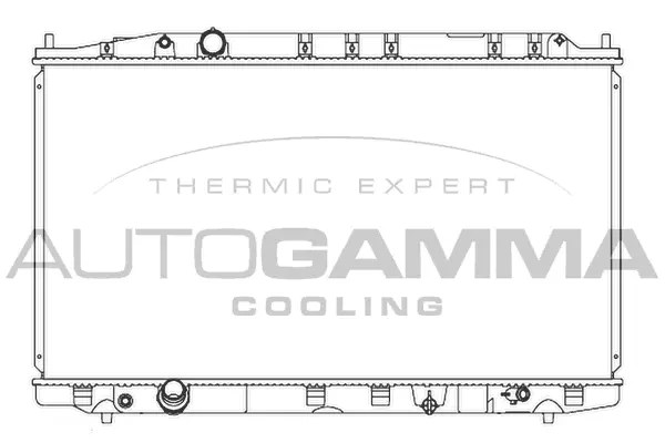 Radiator, engine cooling (107364)