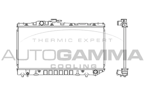 Radiator, engine cooling (101011)
