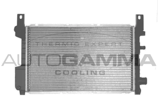 Radiator, engine cooling (103169)