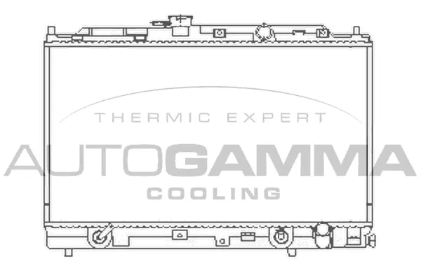 Radiator, engine cooling (100415)