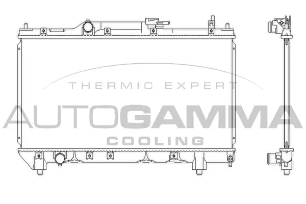 Radiator, engine cooling (102347)