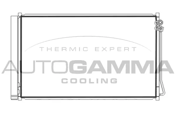 Condenser, air conditioning (107928)